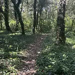 Holiday home Maison Pres Plage, 5 Pieces, 7 Couchages - Fr-1-224b-246 *