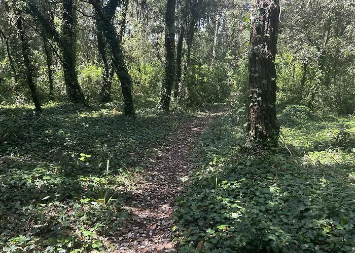 Casa vacanze Maison Près Plage, 5 Pièces, 7 Couchages - Fr-1-224b-246 *